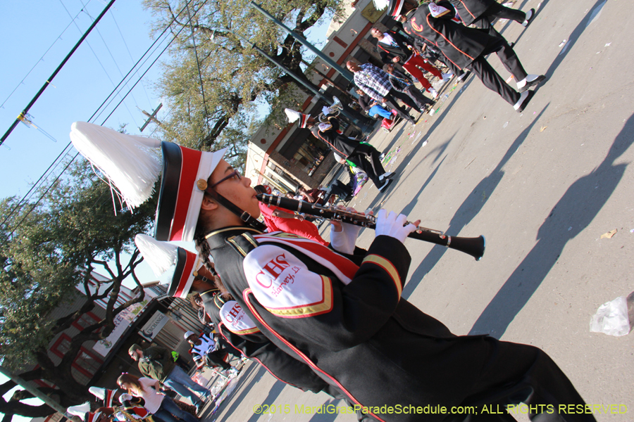 Krewe-of-Tucks-2015-15940