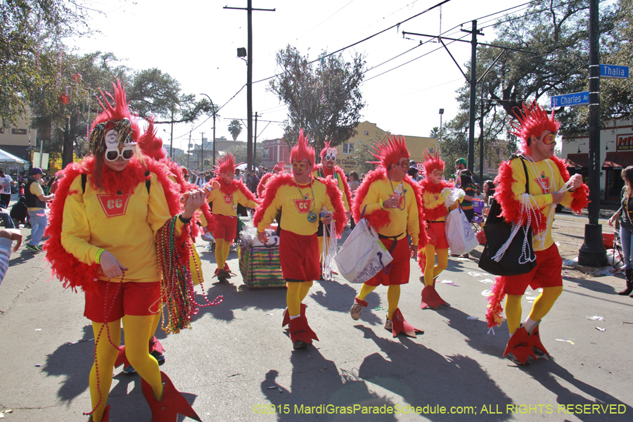 Krewe-of-Tucks-2015-15967