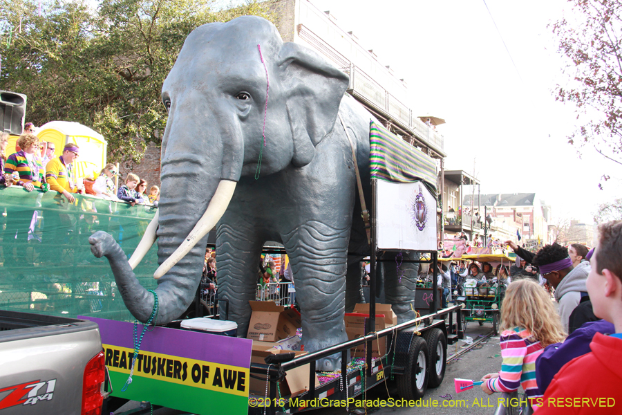 2016-Krewe-of-Tucks-010462