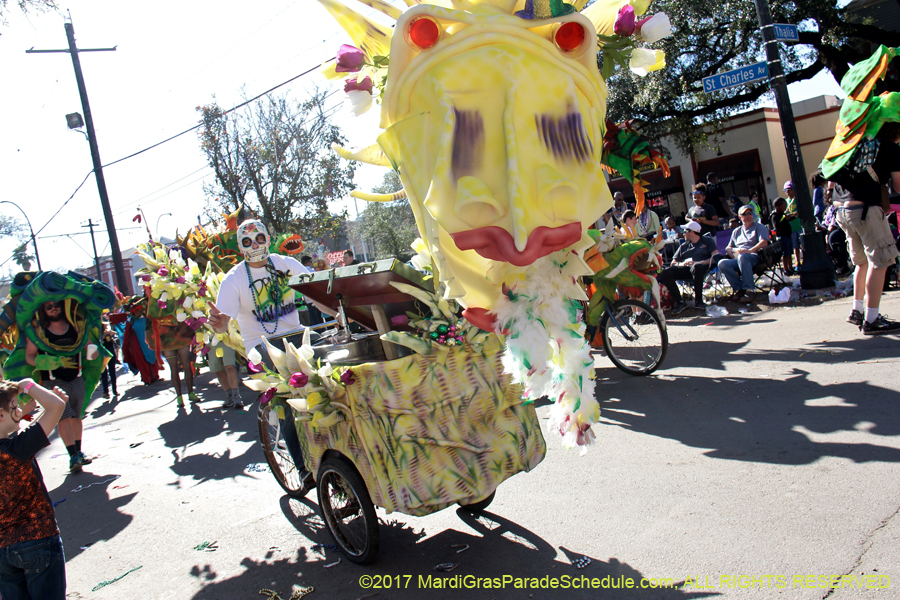Krewe-of-Tucks-2017-08488
