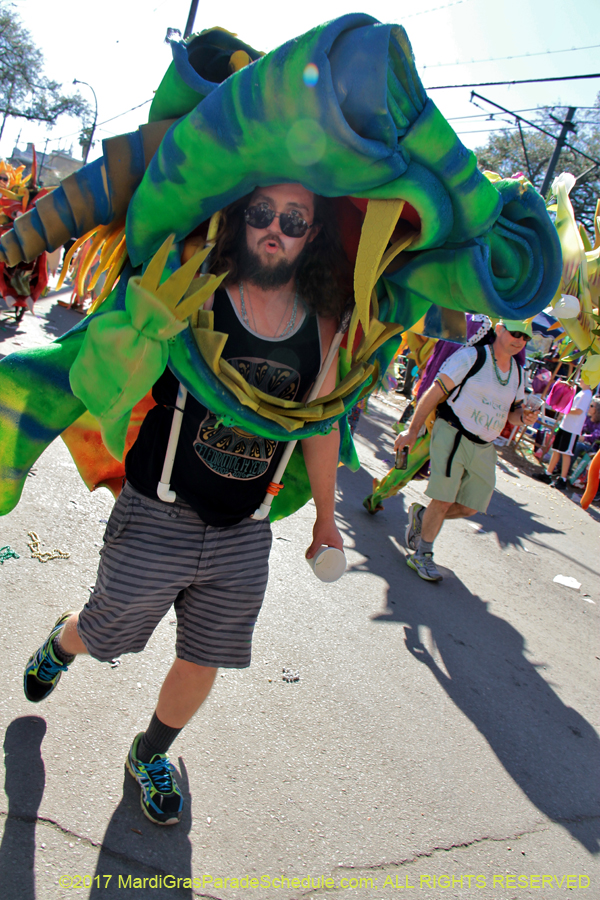 Krewe-of-Tucks-2017-08489