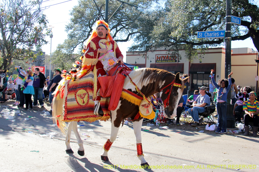 Krewe-of-Tucks-2017-08529