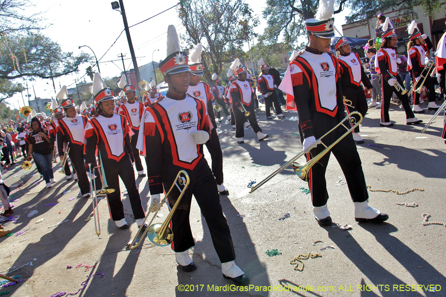 Krewe-of-Tucks-2017-08573