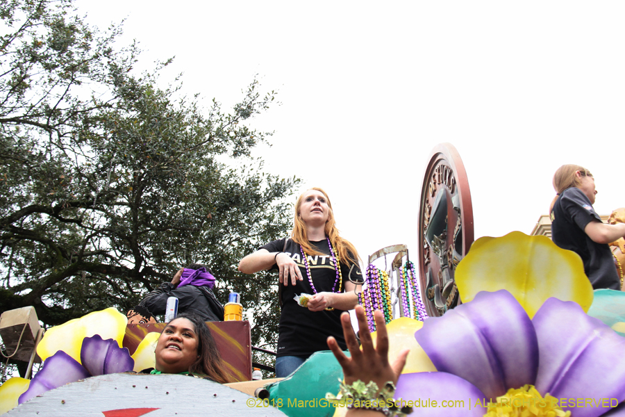 2018-Krewe-of-Tucks-00005864