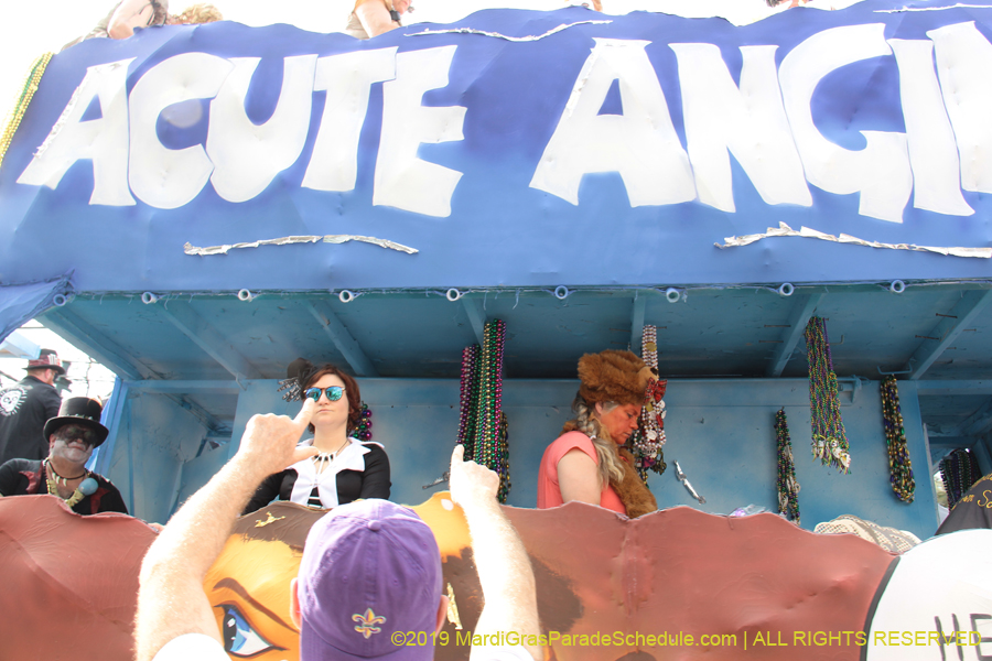 Krewe-of-Tucks-2019-006893