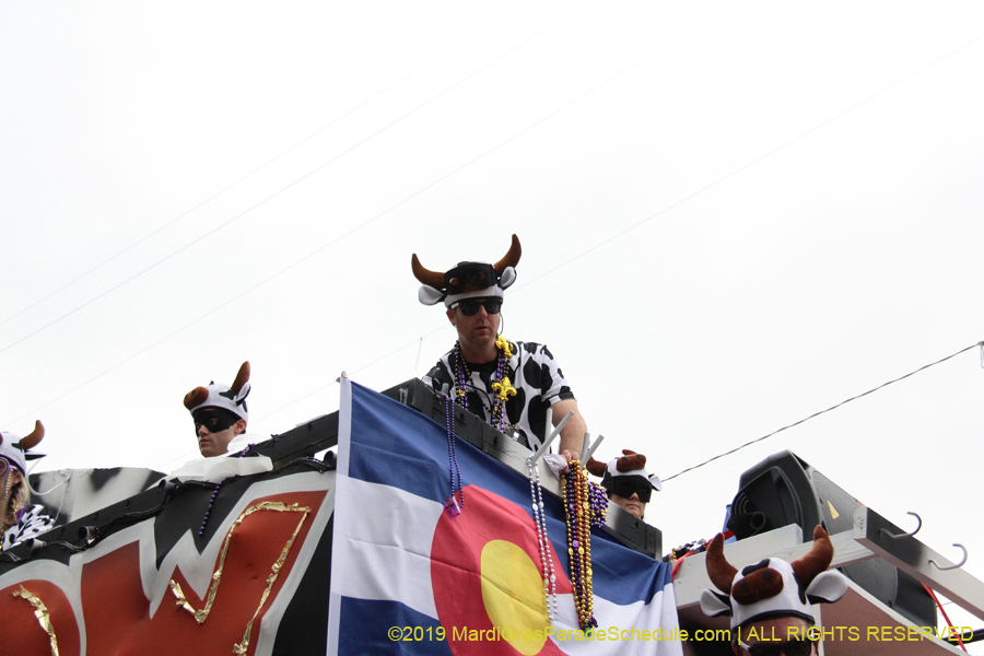 Krewe-of-Tucks-2019-007253