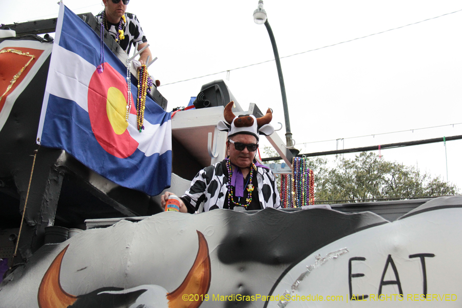 Krewe-of-Tucks-2019-007254