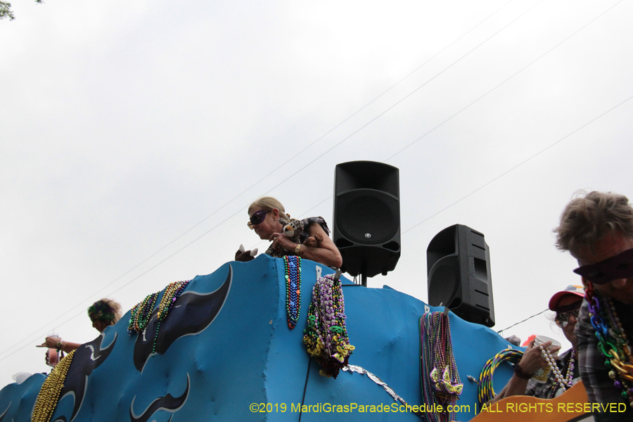 Krewe-of-Tucks-2019-007268