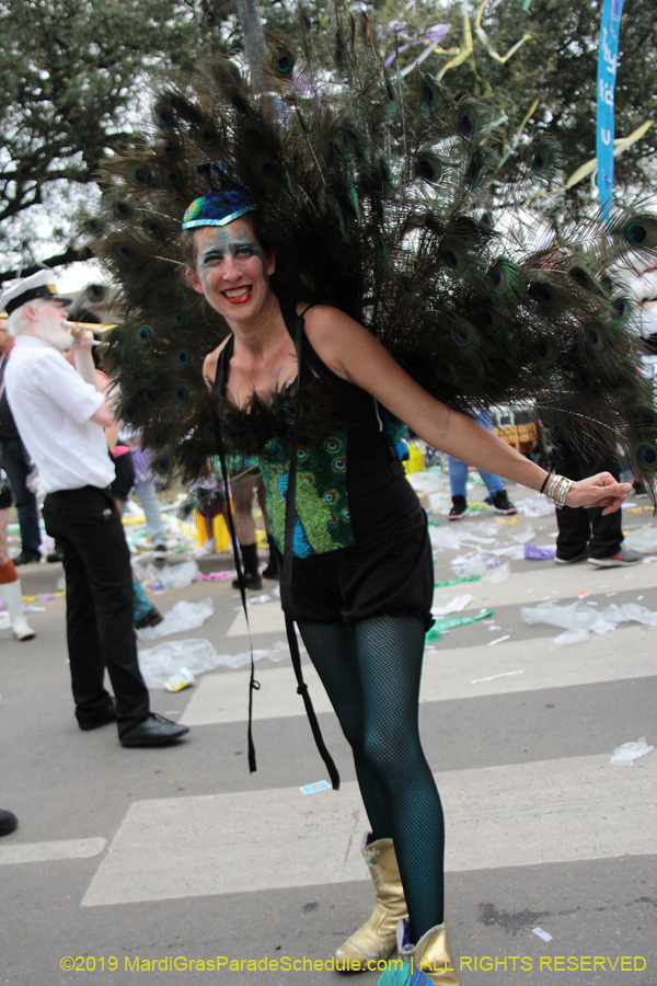 Krewe-of-Tucks-2019-007285