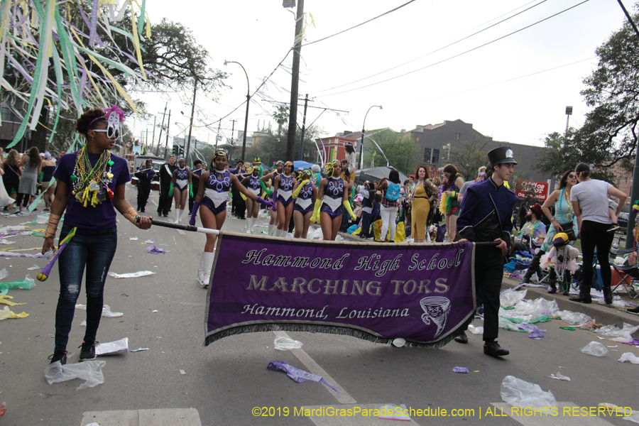 Krewe-of-Tucks-2019-007309