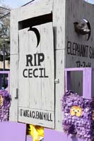 Krewe-of-Tucks-2019-006867