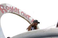 Krewe-of-Tucks-2019-007238