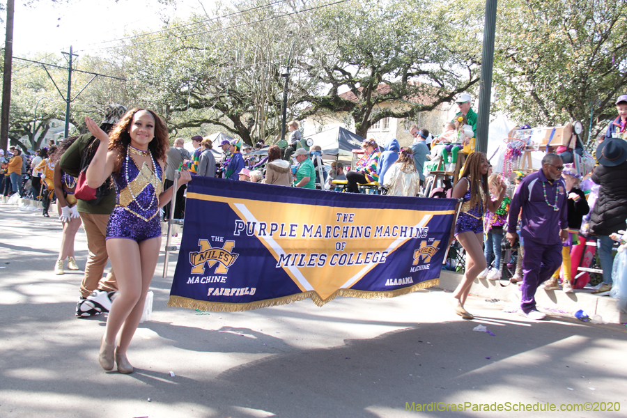 Krewe-of-Tucks-2020-06423