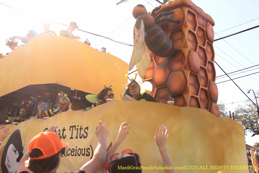 Krewe-of-Tucks-2025-0967