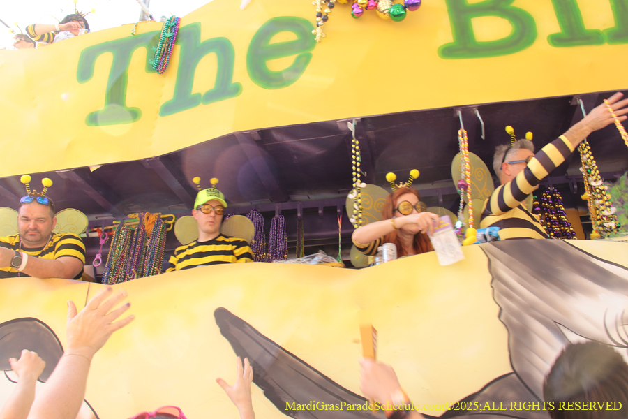 Krewe-of-Tucks-2025-0971