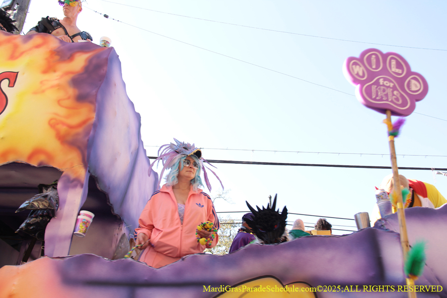 Krewe-of-Tucks-2025-1031