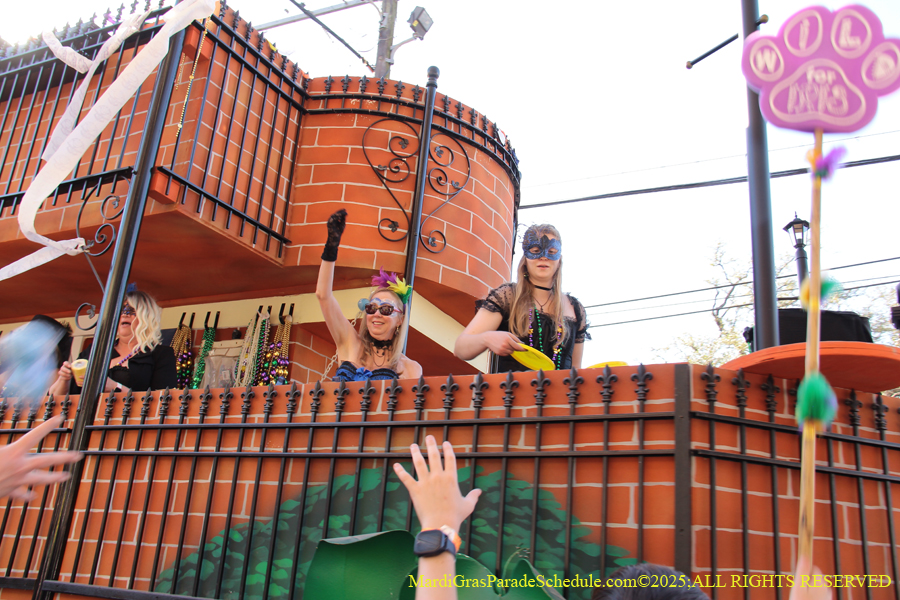 Krewe-of-Tucks-2025-1043