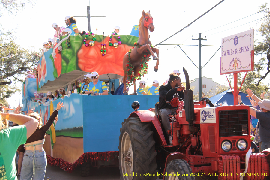 Krewe-of-Tucks-2025-1063