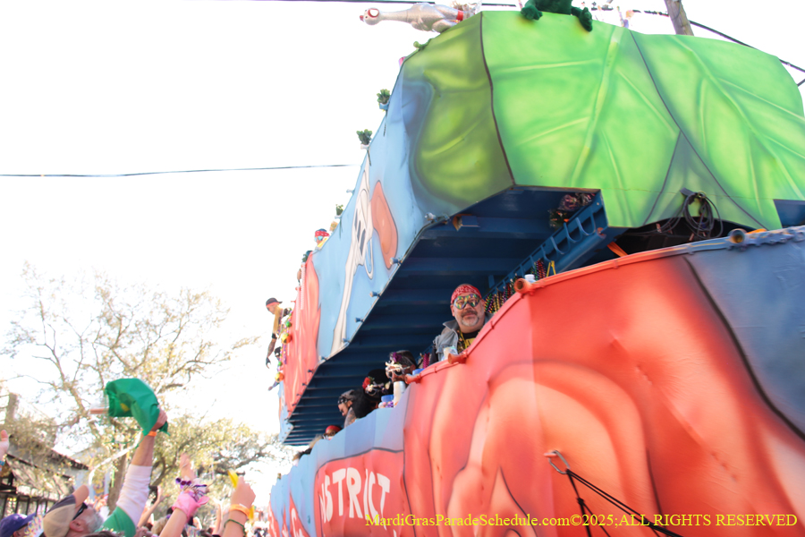 Krewe-of-Tucks-2025-1086