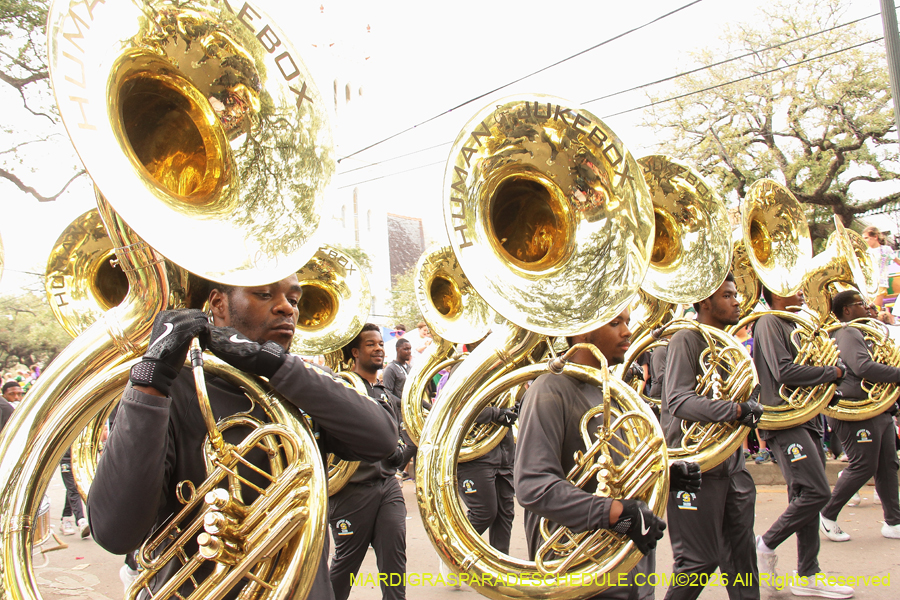 Krewe-of-Tucks-2026-7444