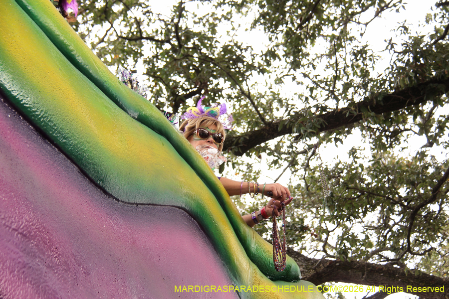 Krewe-of-Tucks-2026-7533