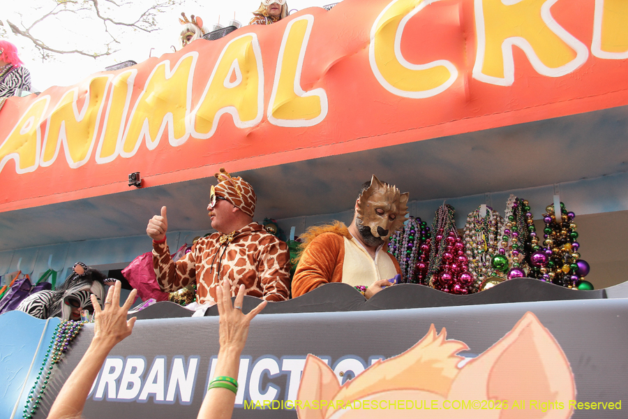 Krewe-of-Tucks-2026-7736