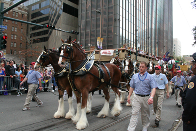 2008-Zulu-Social-Aid-and-Pleasure-Club-Mardi-Gras-New-Orleans-2008-0059