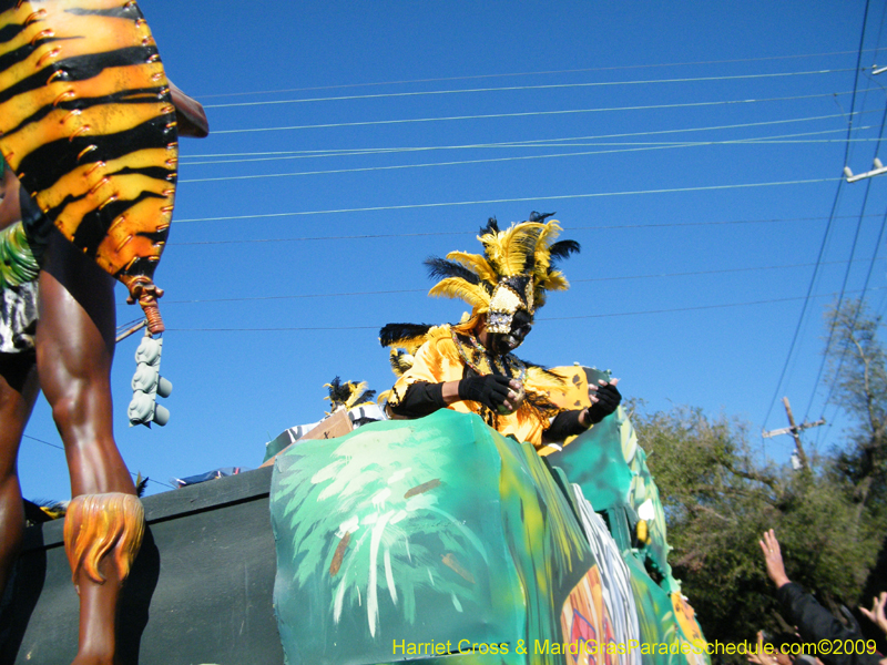 Zulu-Social-Aid-and-Pleasure-Club-2009-Centennial-Parade-mardi-Gras-New-Orleans-Photos-by-Harriet-Cross-0160