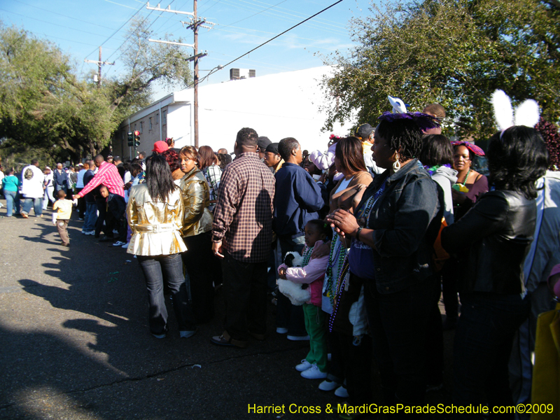 Zulu-Social-Aid-and-Pleasure-Club-2009-Centennial-Parade-mardi-Gras-New-Orleans-Photos-by-Harriet-Cross-0229