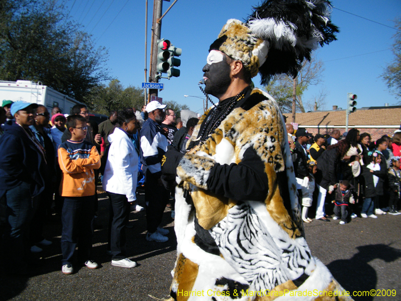 Zulu-Social-Aid-and-Pleasure-Club-2009-Centennial-Parade-mardi-Gras-New-Orleans-Photos-by-Harriet-Cross-0273