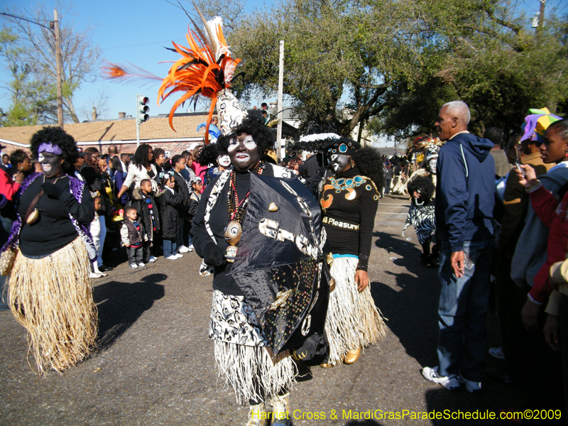 Zulu-Social-Aid-and-Pleasure-Club-2009-Centennial-Parade-mardi-Gras-New-Orleans-Photos-by-Harriet-Cross-0276