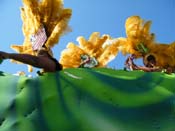 Zulu-Social-Aid-and-Pleasure-Club-2009-Centennial-Parade-mardi-Gras-New-Orleans-Photos-by-Harriet-Cross-0214