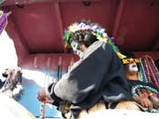 Zulu-Social-Aid-and-Pleasure-Club-2009-Centennial-Parade-mardi-Gras-New-Orleans-Photos-by-Harriet-Cross-0332