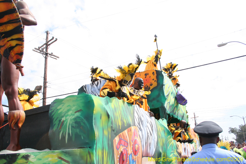 2009-Zulu-Social-Aid-and-Pleasure-Club-100-year-anniversary-Mardi-Gras-New-Orleans-2263