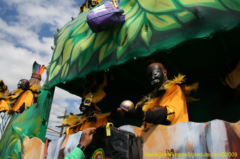 2009-Zulu-Social-Aid-and-Pleasure-Club-100-year-anniversary-Mardi-Gras-New-Orleans-2266