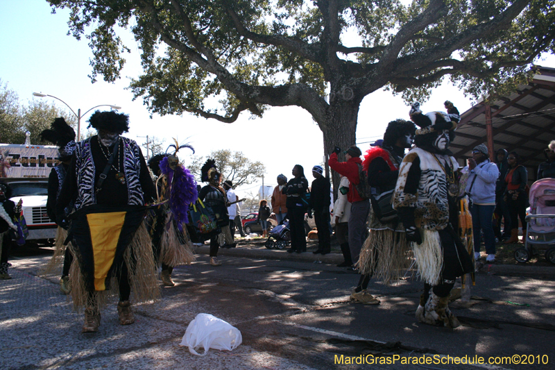 Zulu-Social-Aid-and-Pleasure-Club-2010-Mardi-Gras-New-Orleans-0956