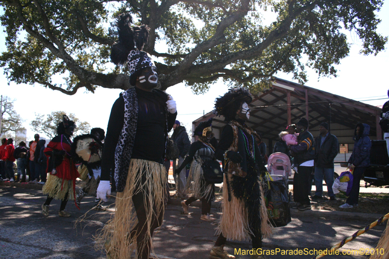 Zulu-Social-Aid-and-Pleasure-Club-2010-Mardi-Gras-New-Orleans-0957