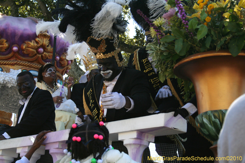 Zulu-Social-Aid-and-Pleasure-Club-2010-Mardi-Gras-New-Orleans-0967