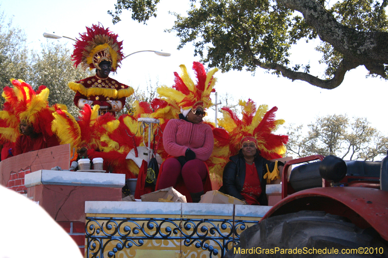 Zulu-Social-Aid-and-Pleasure-Club-2010-Mardi-Gras-New-Orleans-0985