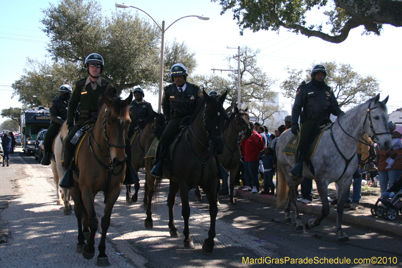 Zulu-Social-Aid-and-Pleasure-Club-2010-Mardi-Gras-New-Orleans-1003