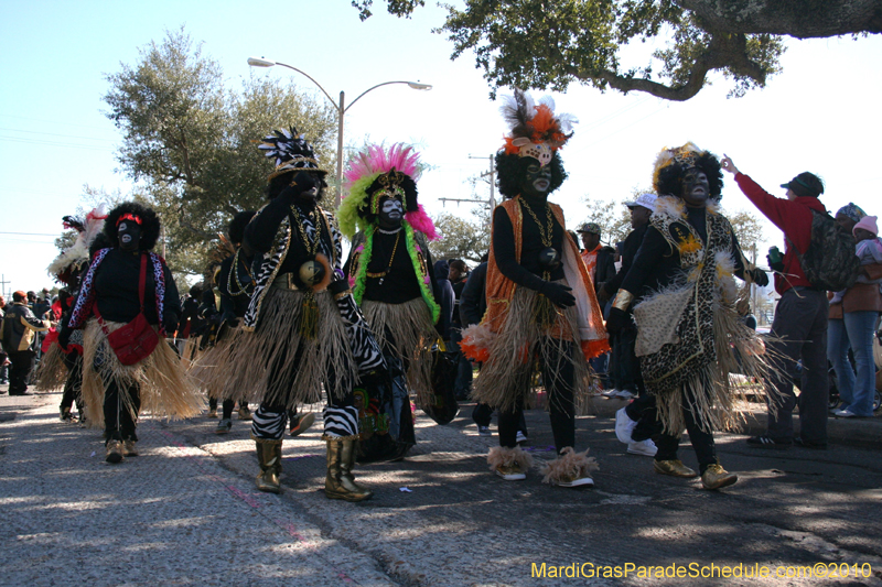 Zulu-Social-Aid-and-Pleasure-Club-2010-Mardi-Gras-New-Orleans-1016