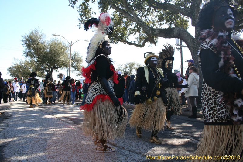 Zulu-Social-Aid-and-Pleasure-Club-2010-Mardi-Gras-New-Orleans-1019