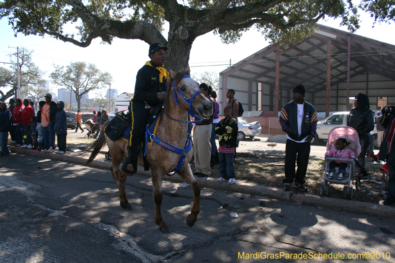 Zulu-Social-Aid-and-Pleasure-Club-2010-Mardi-Gras-New-Orleans-1035