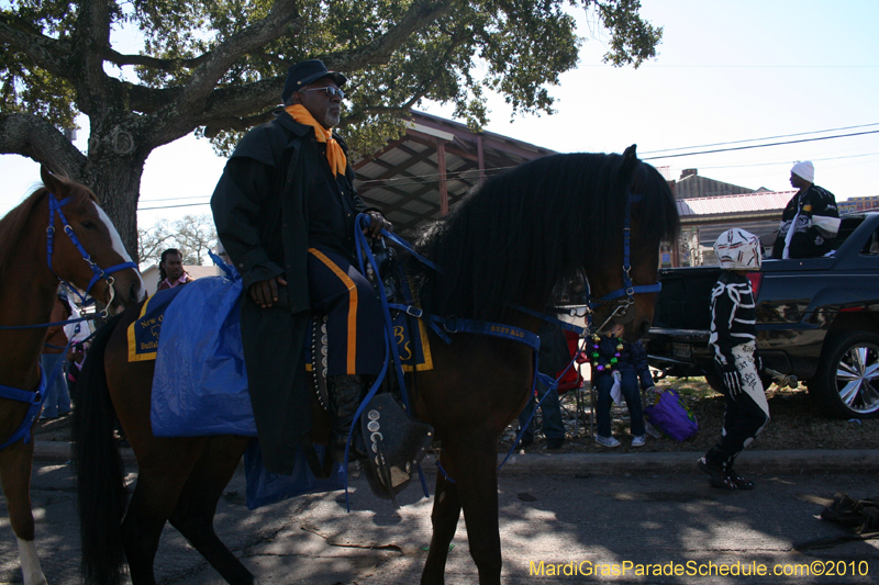 Zulu-Social-Aid-and-Pleasure-Club-2010-Mardi-Gras-New-Orleans-1041