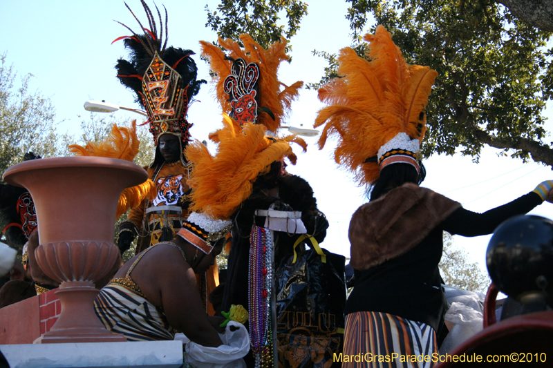 Zulu-Social-Aid-and-Pleasure-Club-2010-Mardi-Gras-New-Orleans-1085