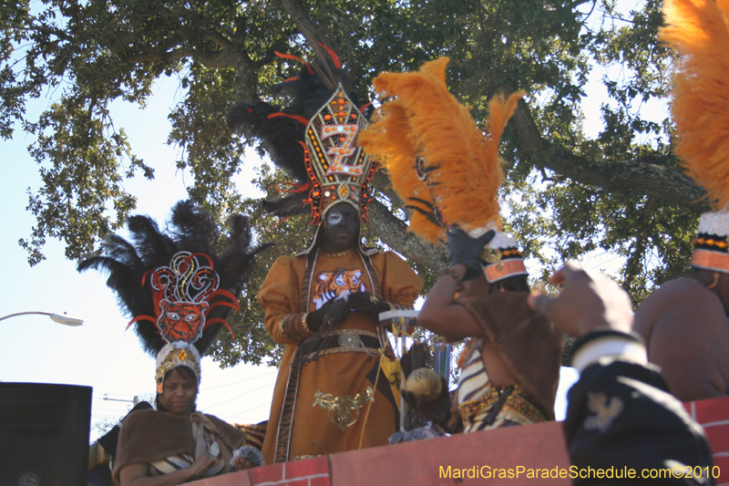 Zulu-Social-Aid-and-Pleasure-Club-2010-Mardi-Gras-New-Orleans-1086