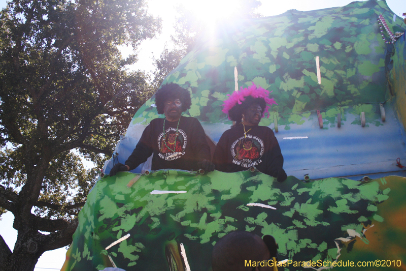 Zulu-Social-Aid-and-Pleasure-Club-2010-Mardi-Gras-New-Orleans-1107