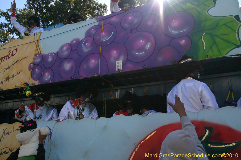 Zulu-Social-Aid-and-Pleasure-Club-2010-Mardi-Gras-New-Orleans-1137