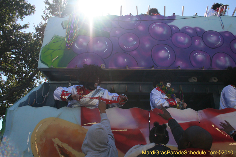 Zulu-Social-Aid-and-Pleasure-Club-2010-Mardi-Gras-New-Orleans-1144