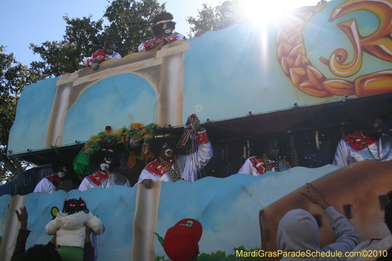 Zulu-Social-Aid-and-Pleasure-Club-2010-Mardi-Gras-New-Orleans-1151